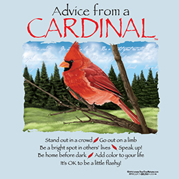 Advice from A Cardinal T-Shirt, Light Blue - Small