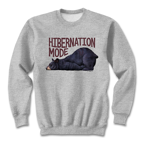 Hibernation Mode