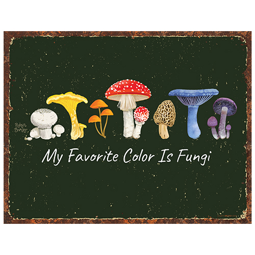 My Favorite Color is Fungi