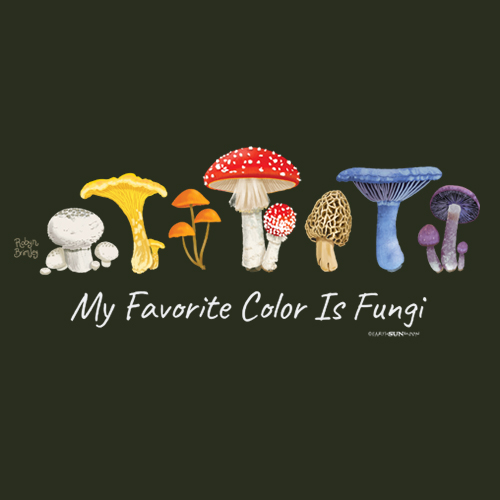 My Favorite Color is Fungi