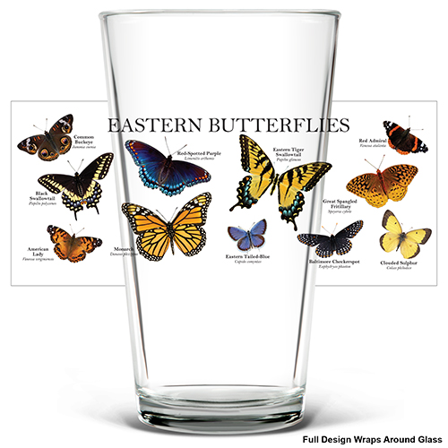 Eastern Butterflies