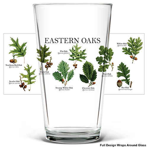 Eastern Oaks