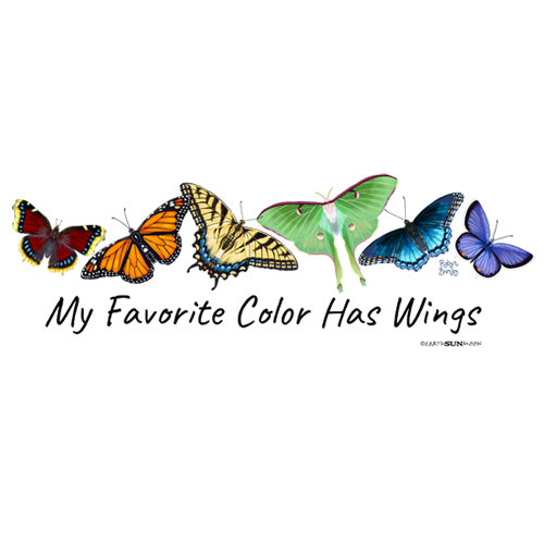 My Favorite Color - Butterflies