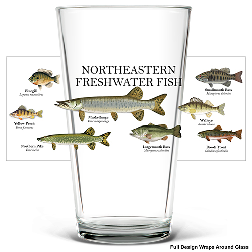 Northeastern Fish