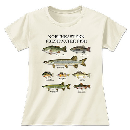 Northeastern Fish