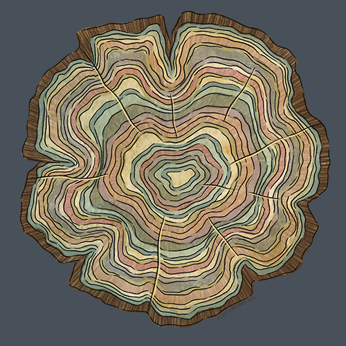 Tree Rings