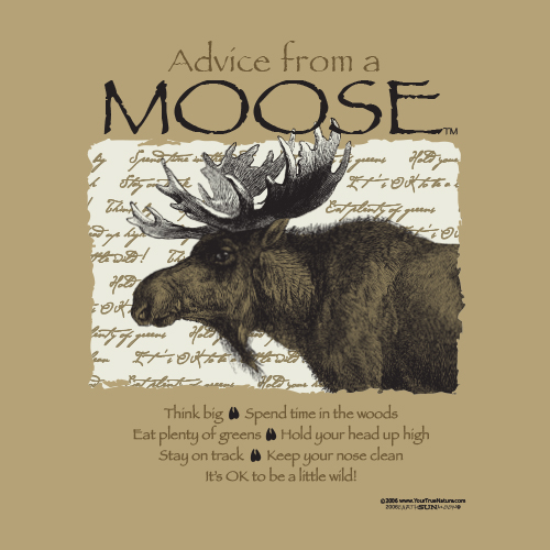 Advice Moose